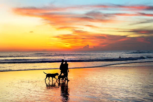 一对夫妇的剪影与狗走在热带海滩在风景秀丽的日落 巴厘岛 印度尼西亚 — 图库照片