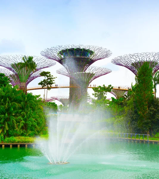 Singapur Febrero 2017 Vista Panorámica Los Modernos Jardines Futuristas Singapur — Foto de Stock