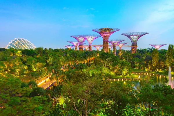 Singapur Enero 2017 Famosos Jardines Botánicos Junto Bahía Iluminados Por — Foto de Stock