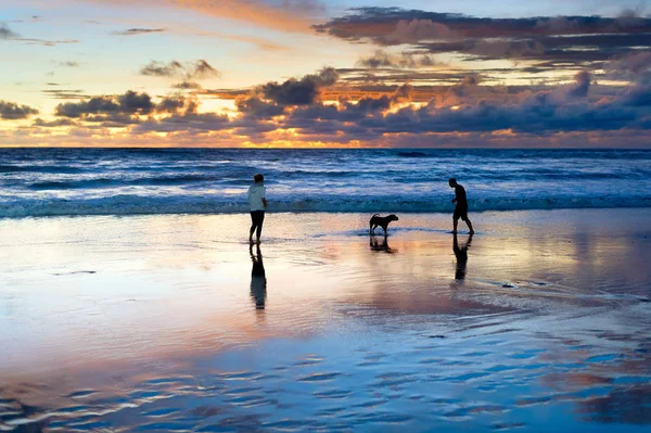 Casal com cão, pôr do sol Bali — Fotografia de Stock