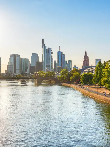 Widok Frankfurt Downtown, Main River — Zdjęcie stockowe