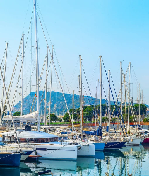 Yachter och segelbåtar i Marina — Stockfoto