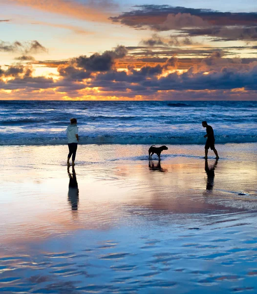 Couple avec chien, Bali coucher de soleil — Photo