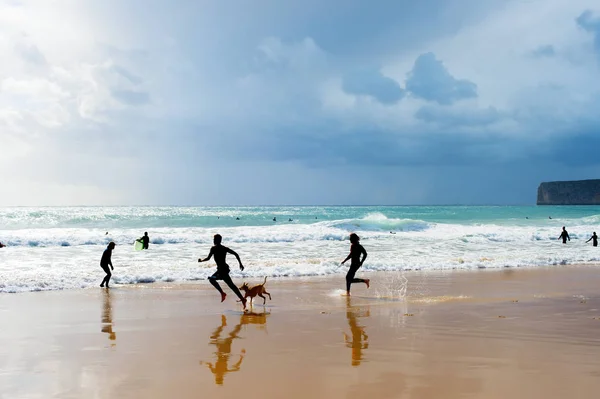 Silhouette persone cane spiaggia Portogallo — Foto Stock