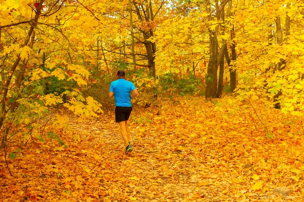 Uomo in esecuzione parco foresta autunno — Foto Stock