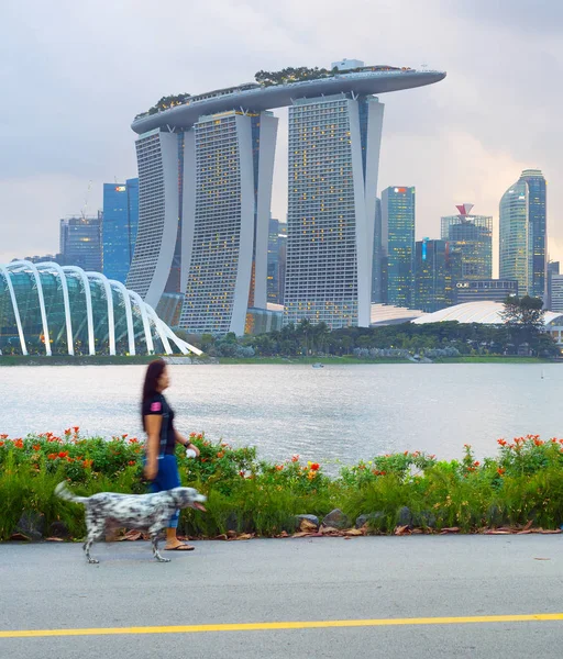 Mujer paseando perro Singapore Downtown — Foto de Stock