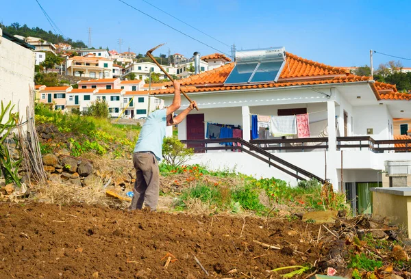 Isla Madeira Portugal Enero 2020 Hombre Trabajando Campo Típica Arquitectura — Foto de Stock