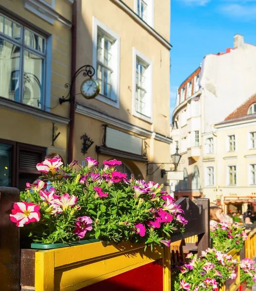 Sunny Old Town Street View Flowers Restaurant People Tourist Tallinn — 图库照片