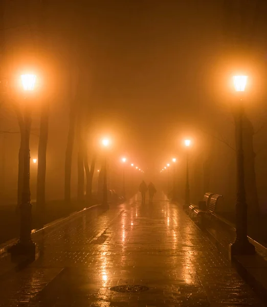 夜は霧の多い公園の路地をカップルで歩く ウクライナのキエフ — ストック写真