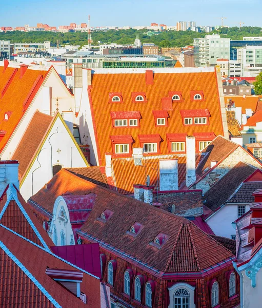 タリン旧市街の赤いタイル張りの屋根の上のサンシャイン伝統的な建築物の家 エストニアの背景に現代的なスカイライン — ストック写真