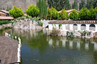 Bahçe içinde farklı balıklı Göleti