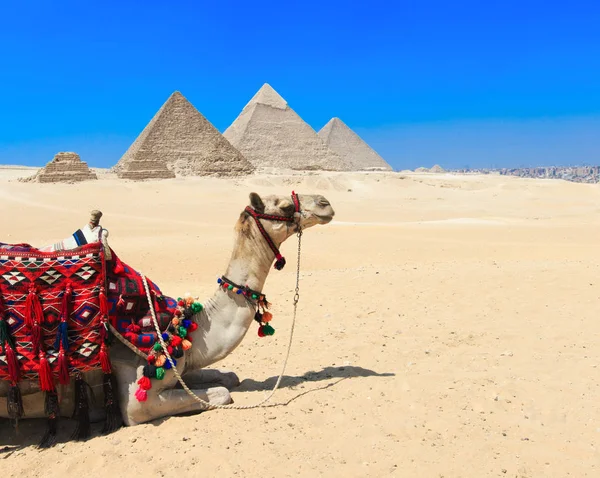 Piramides Met Een Mooie Hemel Van Giza Cairo Egypte — Stockfoto