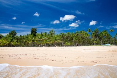 Deniz ve güneşli gökyüzü altında tropikal kumlu plaj. Yaz Cennet plaj