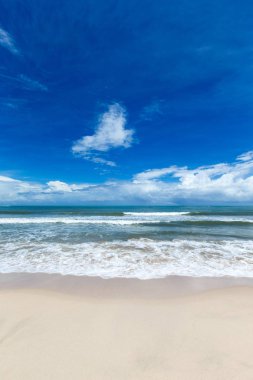 deniz ve sahil arkaplanı kopyalama alanı