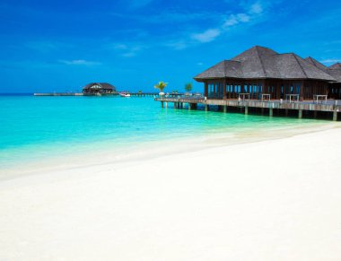 tropik Maldivler ada plaj ile