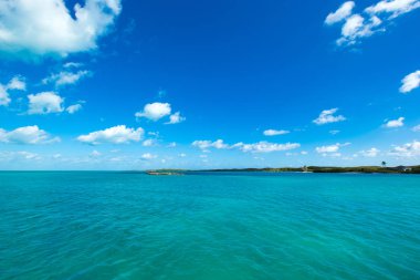 tropikal mavi deniz ve doğa manzaralı güzel bir plaj
