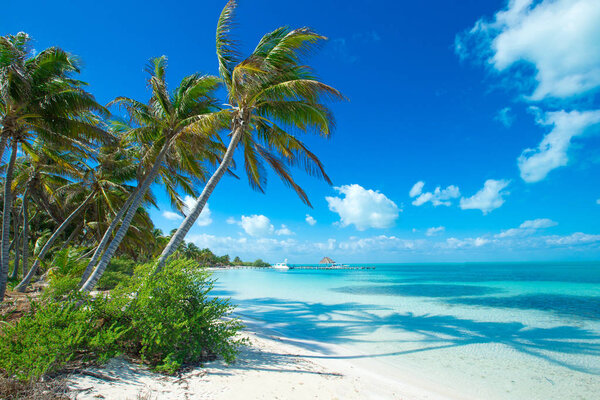 scenic beautiful beach and tropical blue sea