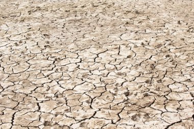 Kuru toprak kaba doku arka plan