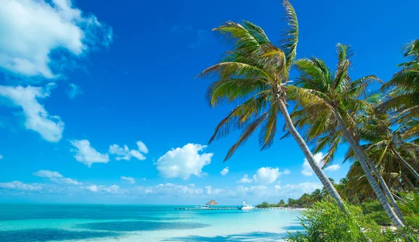 Scenic Beautiful Beach Tropical Blue Sea — Stock Photo, Image