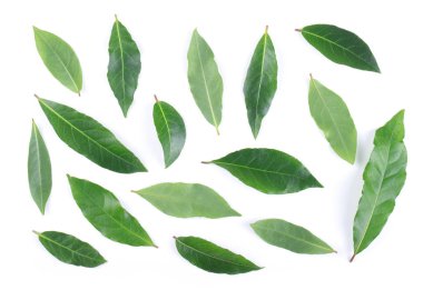 Körfez yaprakları beyaz arkaplanda izole