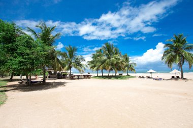 Güzel bir plaj. Yaz tatil ve tatil kavramı arka plan. Turizm ve seyahat 