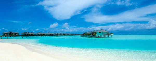 Playa Tropical Maldivas Con Pocas Palmeras Laguna Azul —  Fotos de Stock