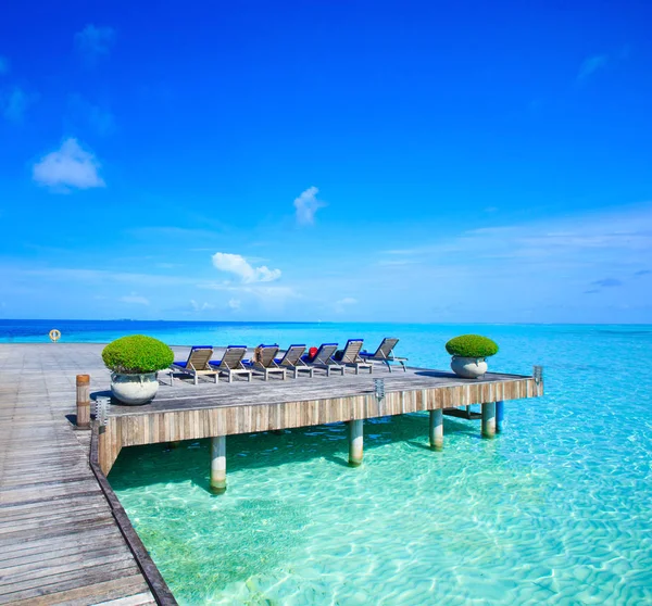 Spiaggia Tropicale Alle Maldive Con Poche Palme Laguna Blu — Foto Stock