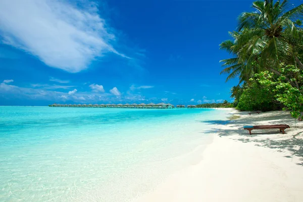 Playa Tropical Maldivas —  Fotos de Stock