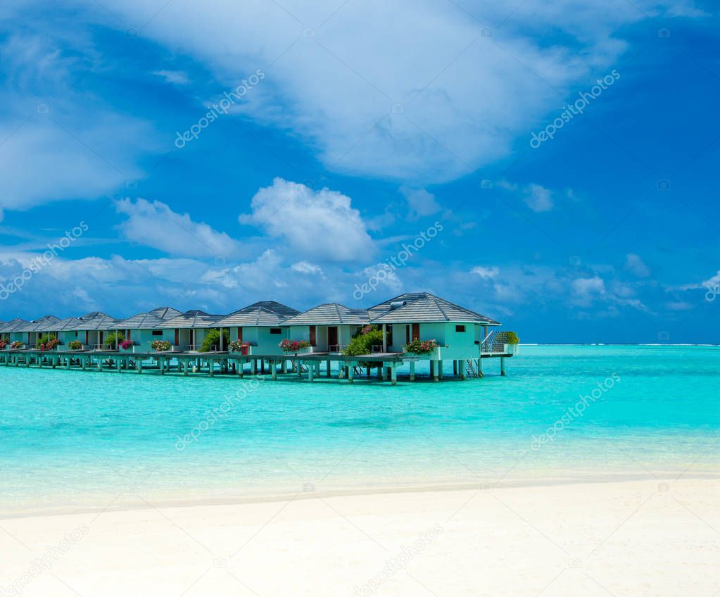 tropical beach in Maldives with few palm trees and blue lagoon