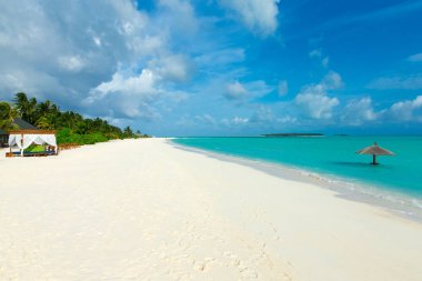 Maldivler 'deki tropik plaj
