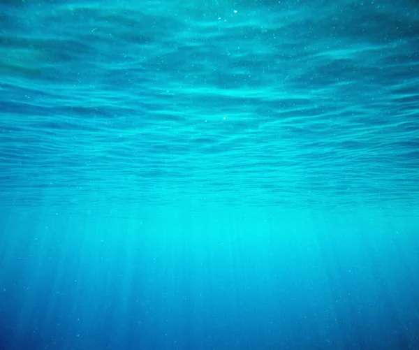 Tranquila Escena Submarina Con Espacio Para Copiar — Foto de Stock