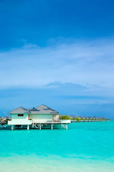 Playa Tropical Maldivas Con Pocas Palmeras Laguna Azul — Foto de Stock