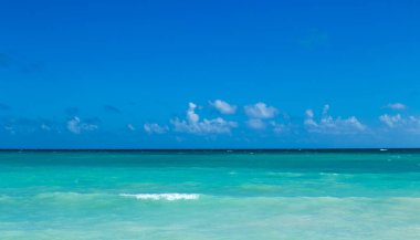 plaj ve tropikal deniz