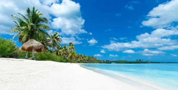 Spiaggia Mare Tropicale — Foto Stock