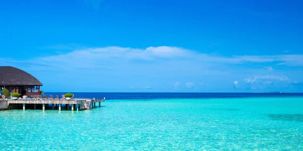 Spiaggia Tropicale Alle Maldive Con Poche Palme Laguna Blu — Foto Stock