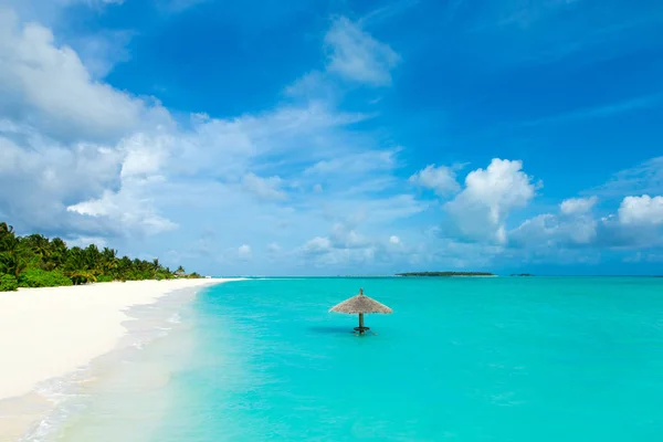 Plage Tropicale Aux Maldives Avec Peu Palmiers Lagune Bleue — Photo