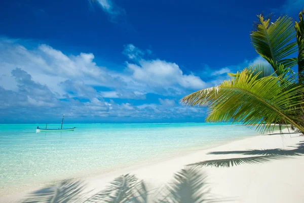 Tropická Pláž Maledivách Několika Palmami Modrou Lagunou — Stock fotografie