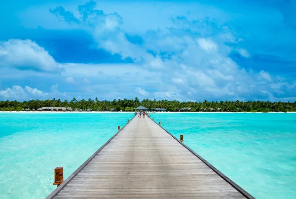 Hermosa Isla Tropical Maldivas Con Playa Mar Palmera Coco Cielo — Foto de Stock