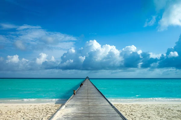 Praia Tropical Maldivas Com Poucas Palmeiras Lagoa Azul — Fotografia de Stock