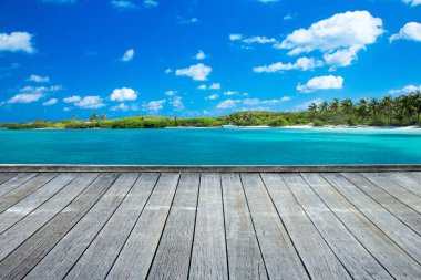 plaj ve tropikal deniz