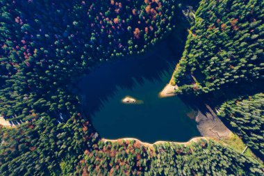 Synevir Gölü sonbahar renkleri