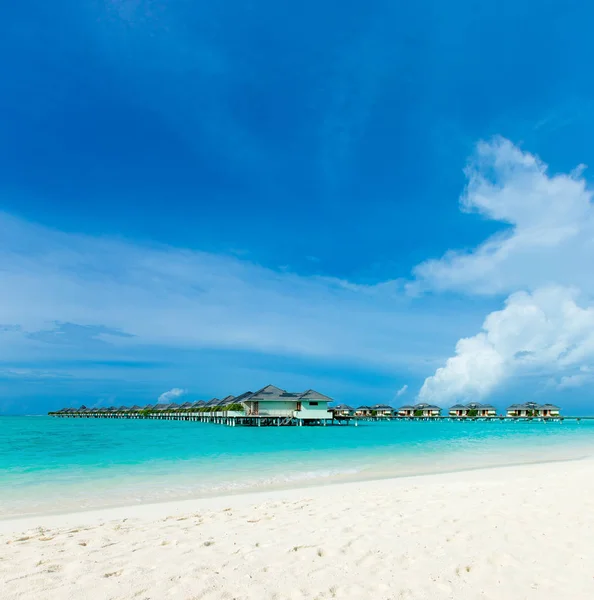 Тропический Пляж Мальдивах Небольшим Количеством Пальм Голубой Лагуной — стоковое фото