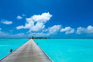 Maldivler 'de birkaç palmiye ağacı ve mavi lagünü olan tropik plaj