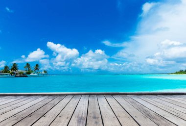 Maldivler 'de birkaç palmiye ağacı ve mavi lagünü olan tropik plaj