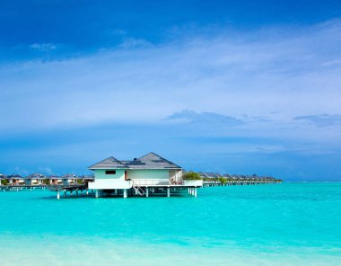 Maldivler 'de birkaç palmiye ağacı ve mavi lagünü olan tropik plaj