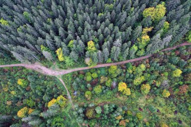 Karpat dağ güneşli manzara