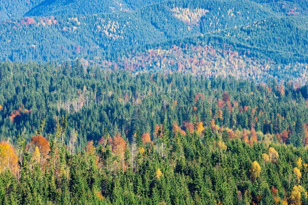 Karpatische Zonnige Berglandschap — Stockfoto