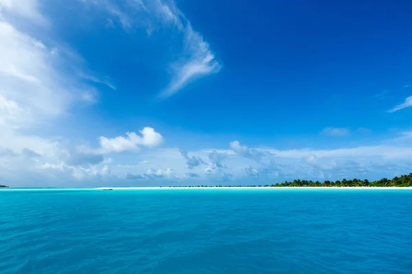 Spiaggia Tropicale Alle Maldive Con Poche Palme Laguna Blu — Foto Stock