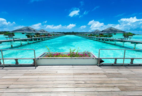 马尔代夫的热带海滩 很少有棕榈树和蓝色泻湖 — 图库照片