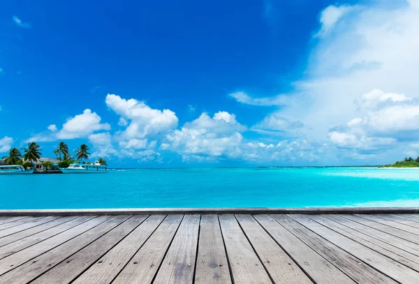 Playa Tropical Maldivas Con Pocas Palmeras Laguna Azul — Foto de Stock